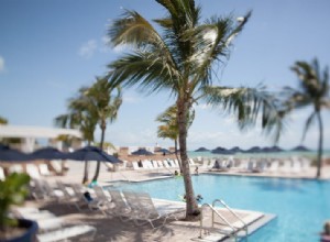 Rokinon T-S 24mm F/3.5 Tilt-Shift Lens Review: First Impressions & Performance