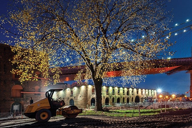 Nachtfotografietechnieken:tips van experts van Lynn Saville 