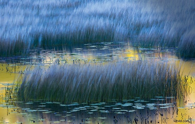 Tips voor herfstfotografie:leg prachtige herfsttaferelen vast | Deskundig advies