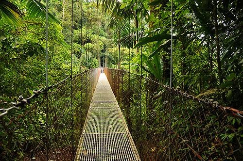 Fotografieworkshop in Costa Rica:leer van deskundige inzichten 