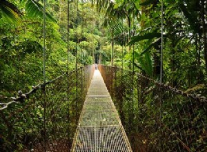 Taller de fotografía de Costa Rica:aprenda de las opiniones de los expertos 