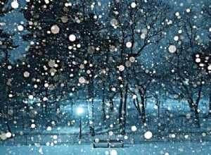 Padroneggiare la fotografia sulla neve:suggerimenti per l esposizione manuale dal professionista Vincent Soyez 