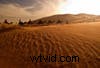 Marokko Fotografie:Desert Trek &Inspiration - 2010 