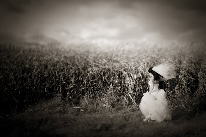 Ron Antonelli - Bekroonde trouwfotograaf | New York