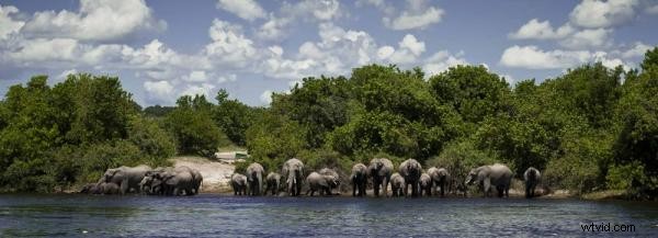 Safari fotográfico en Botswana:imágenes impresionantes e información sobre viajes 
