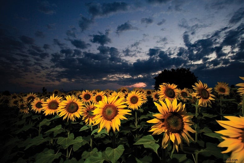 Masterflitsfotografie:21 tips voor verbluffende resultaten 