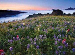 Fotografía del Parque Nacional Monte Rainier:Guía de fotografía de finales del verano 