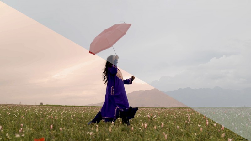 Beheersing van de camerabediening:essentiële instellingen voor betere foto s en video s 