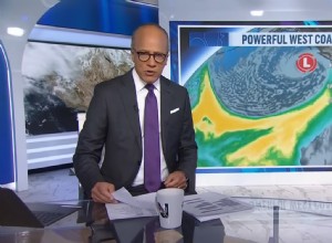 Bug video:branding, coinvolgimento e protezione dei contenuti:una guida professionale 