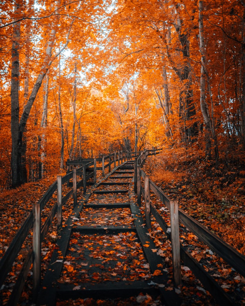 Compositie beheersen:de regel van derden en wanneer deze moet worden overtreden 