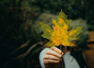 Photography Emphasis: Techniques & Examples to Guide the Viewer