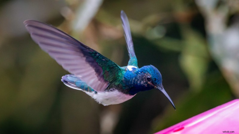 Nadruk op fotografie:technieken en voorbeelden om de kijker te begeleiden 