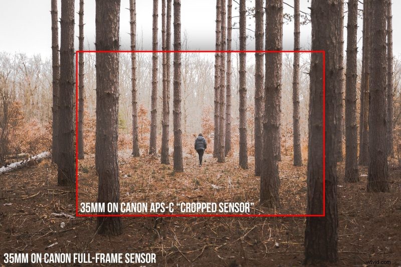 Cámaras de fotograma completo frente a cámaras con sensor de recorte:una guía completa 