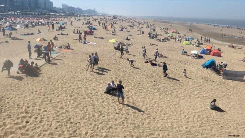 Top 9 gratis Final Cut Pro-plug-ins om uw video s te verbeteren (2024) 