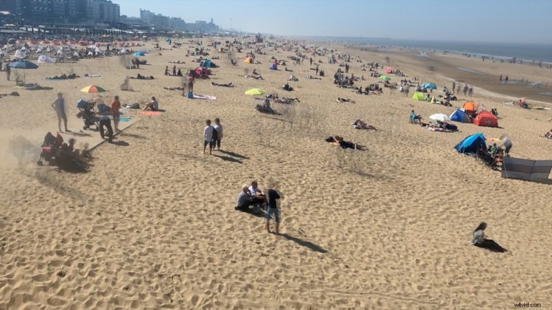 Top 9 gratis Final Cut Pro-plug-ins om uw video s te verbeteren (2024) 