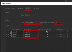 Ambisonics in Premiere Pro:een stapsgewijze handleiding 