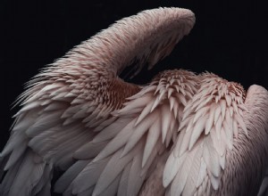 Advanced Composition Techniques to Elevate Your Photoshoots