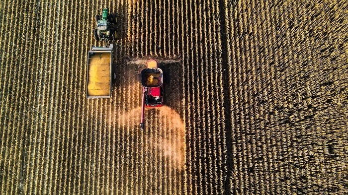 Geavanceerde compositietechnieken om uw fotoshoots naar een hoger niveau te tillen 