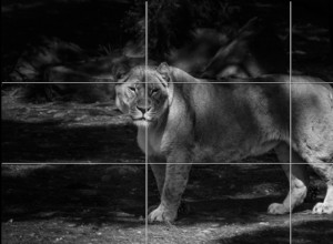 Definición de fotografía estética:12 técnicas probadas para crear imágenes impresionantes 