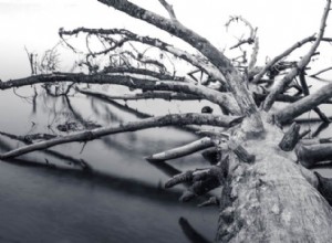 Dominar la figura y la forma en la composición fotográfica | [Curso] 