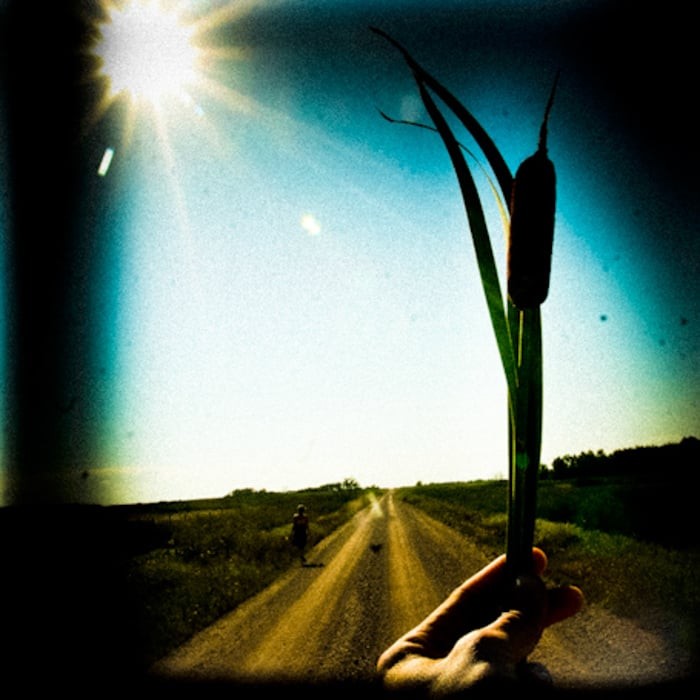 Gratis Lightroom-presets:36+ verbluffende downloads voor 2026