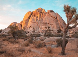 Het blauwgroen en oranje effect beheersen in Lightroom:een stapsgewijze handleiding 