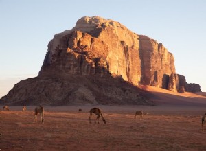 Een voorinstelling opslaan in Lightroom:een snellere workflow voor professionele fotografen 