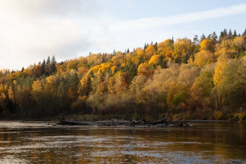 Een voorinstelling opslaan in Lightroom:een snellere workflow voor professionele fotografen 