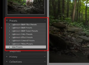 Master Lightroom Presets: A Step-by-Step Guide to Photo Editing