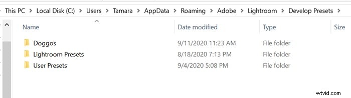 Master Lightroom-voorinstellingen:een stapsgewijze handleiding voor fotobewerking 