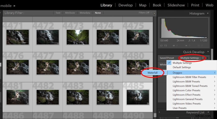 Master Lightroom-voorinstellingen:een stapsgewijze handleiding voor fotobewerking 