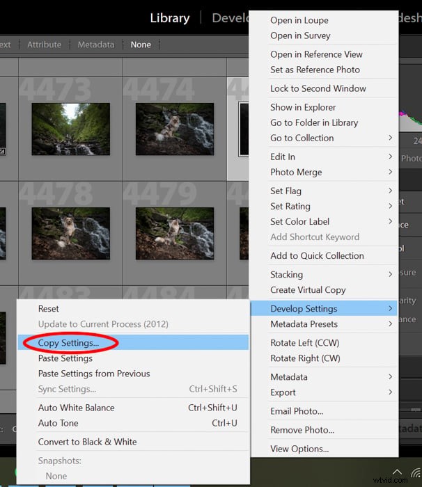 Master Lightroom-voorinstellingen:een stapsgewijze handleiding voor fotobewerking 