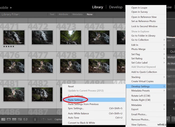Master Lightroom-voorinstellingen:een stapsgewijze handleiding voor fotobewerking 