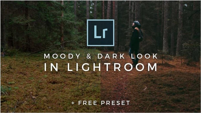 25 gratis Lightroom-portretvoorinstellingen voor verbluffende foto s | 2024 