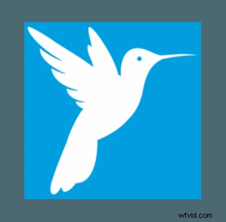 Top 7 ruisonderdrukkingssoftware voor verbluffende fotografie in 2024 