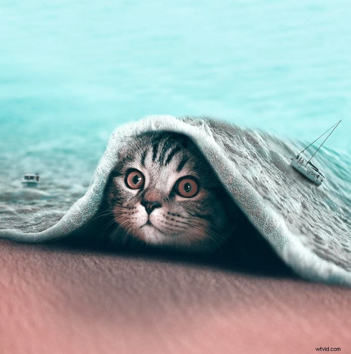 Top 33 fotomanipulatiekunstenaars om te volgen in 2026 – Masterclass Insights 