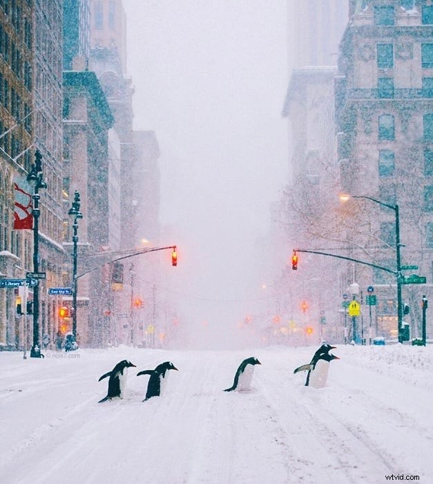 Top 33 fotomanipulatiekunstenaars om te volgen in 2026 – Masterclass Insights 