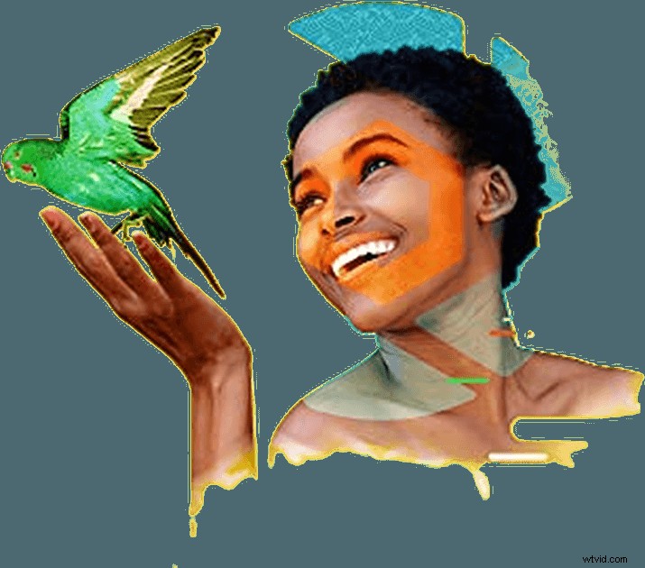 Beste fotobeheersoftware in 2026 – Expertrecensie en aanbevelingen 