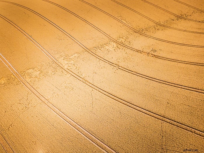 Het beheersen van abstracte fotografie:een uitgebreide gids 