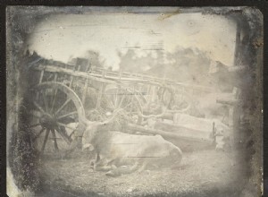 Natte plaatfotografie:een beginnershandleiding voor dit historische proces 