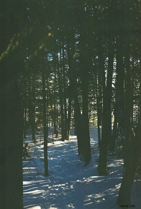 Film versus digitale fotografie:een uitgebreide vergelijking 