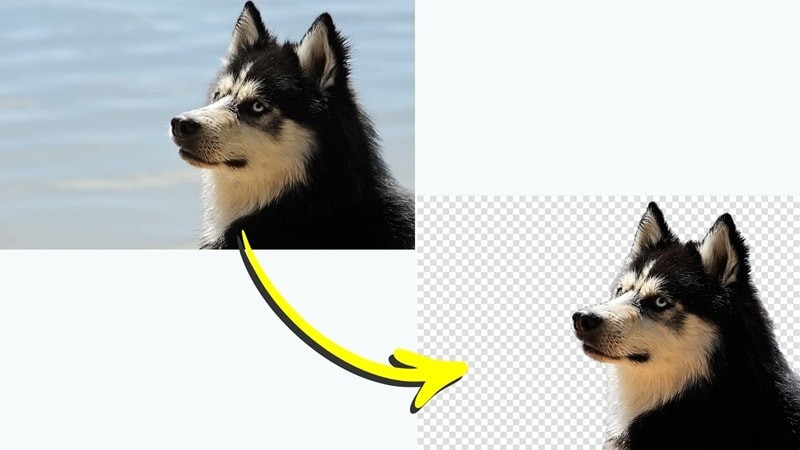 Transparante achtergronden in GIMP:een beginnershandleiding 