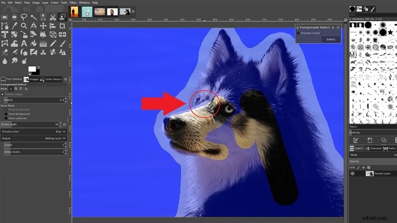 Transparante achtergronden in GIMP:een beginnershandleiding 