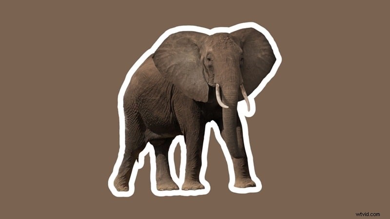 Canva:voeg een witte omtrek toe aan afbeeldingen - eenvoudige stapsgewijze handleiding 