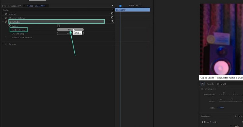 Premiere Pro Pitch Shifter:stemmanipulatie en creatieve effecten 
