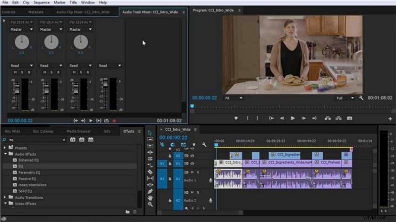 Audio-effecten beheersen in Premiere Pro:een uitgebreide handleiding 