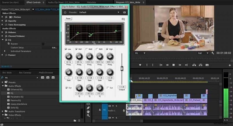 Audio-effecten beheersen in Premiere Pro:een uitgebreide handleiding 