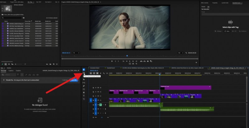 Premiere Pro Track Select Tool:masterclipsynchronisatie en efficiënte bewerking 