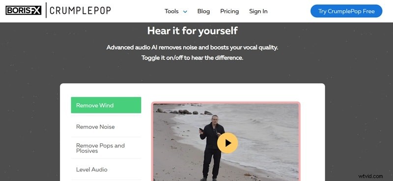 Elimineer windgeruis in Premiere Pro:4 effectieve technieken 