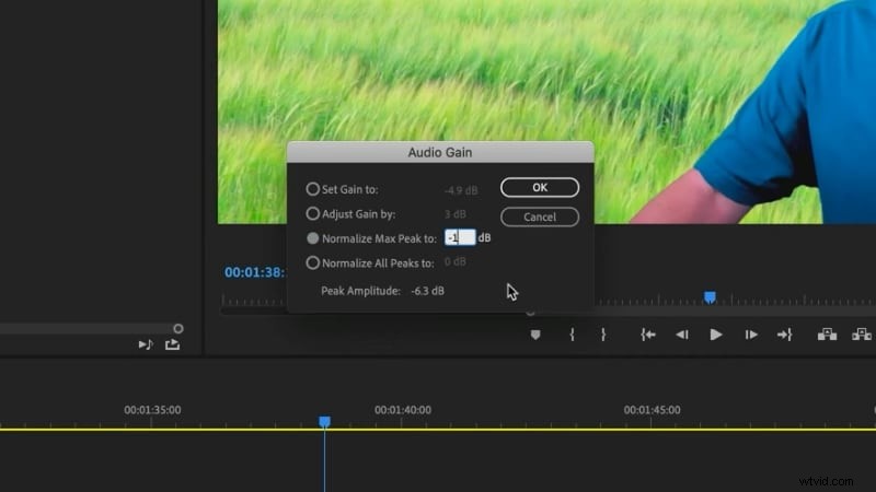 Beheers audionormalisatie in Premiere Pro:corrigeer snel ongelijkmatig volume 
